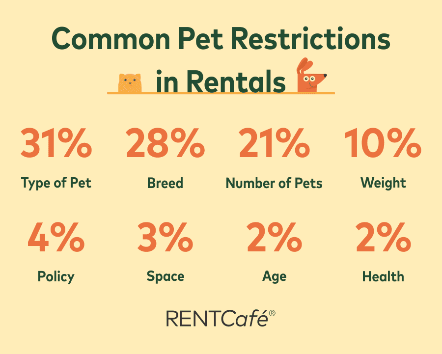 Revealing the Best Cities for Finding PetFriendly Rentals P.L.A.Y.