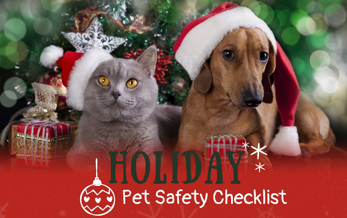 10+ Holiday Pet Safety Tips – P.L.A.Y.