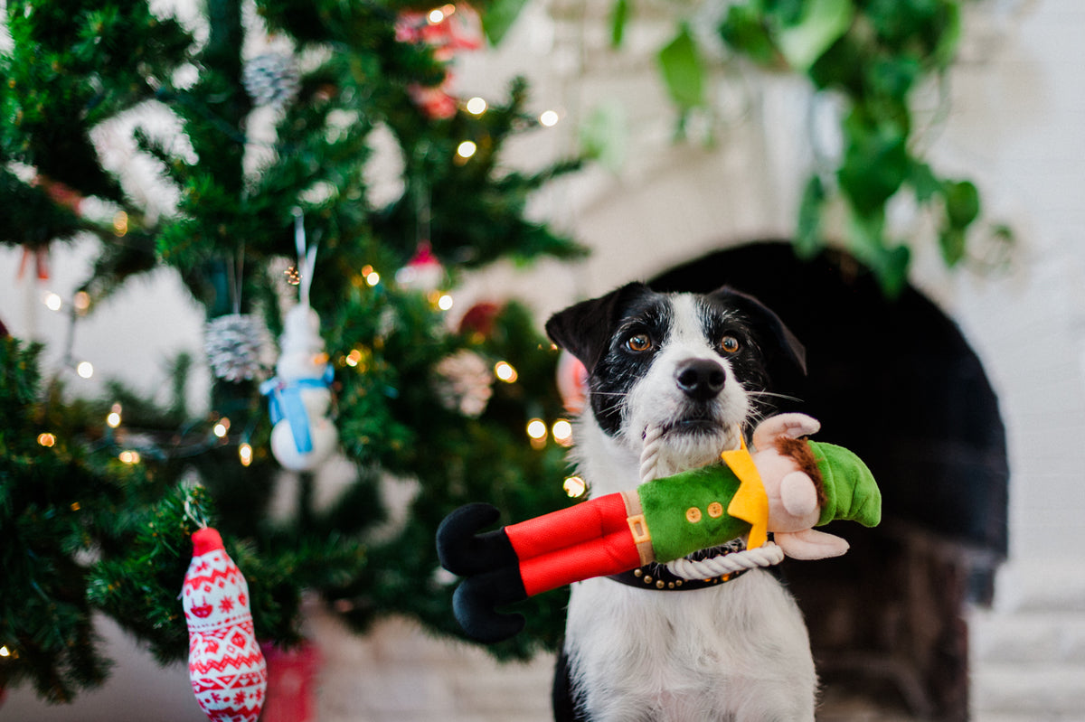 Santa's Little Elf-er: Holiday Dog Toy by P.L.A.Y.