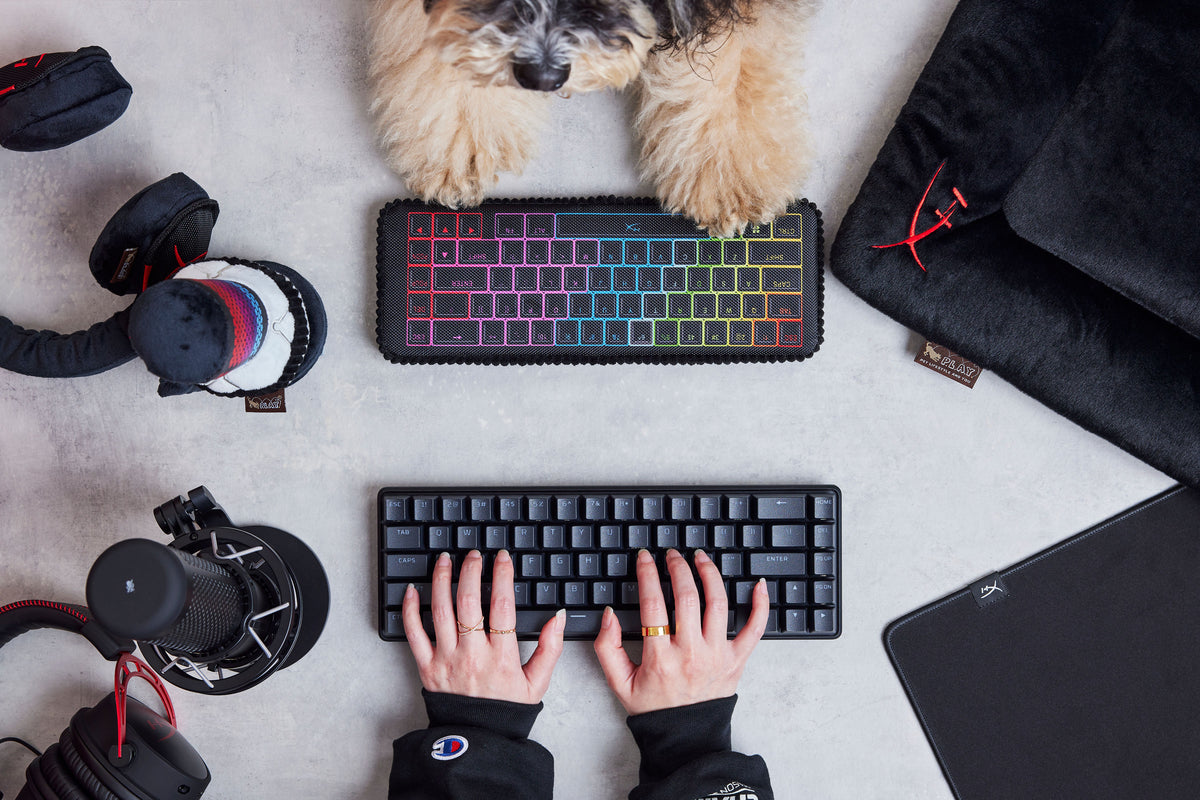 HyperX Releases Gamer-Inspired Pet Toys