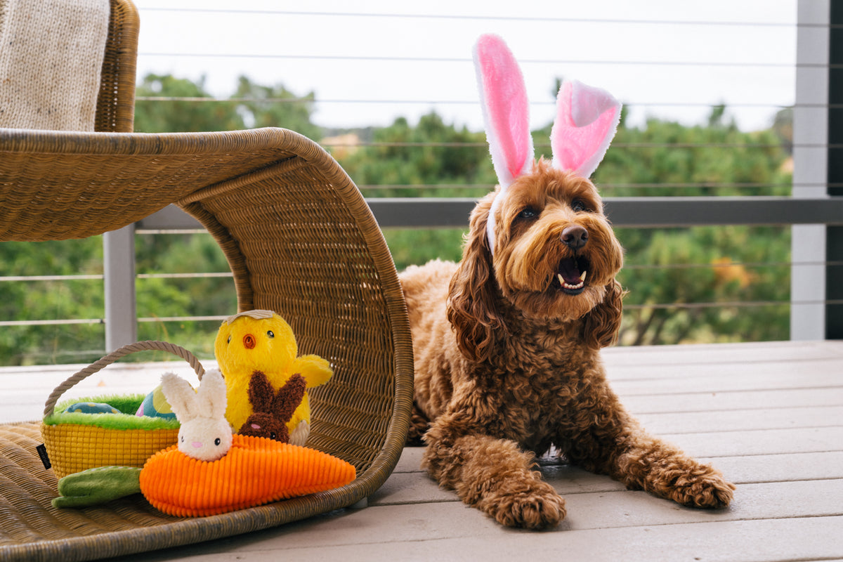 P.L.A.Y. Easter Hippity Hoppity Dog Toy - Eggs-cellent Basket - One Size