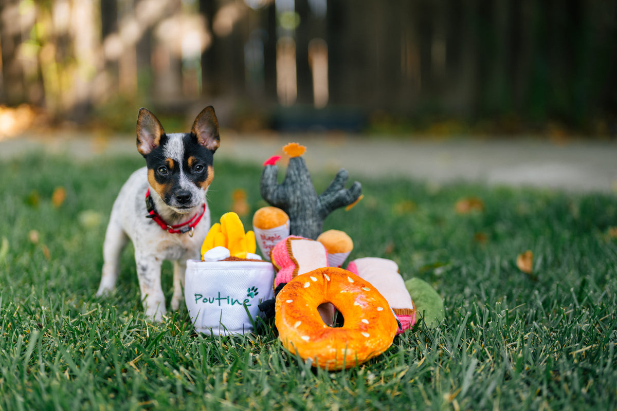 KONG Rewards Treat Dispenser Dog Toy - Picnic