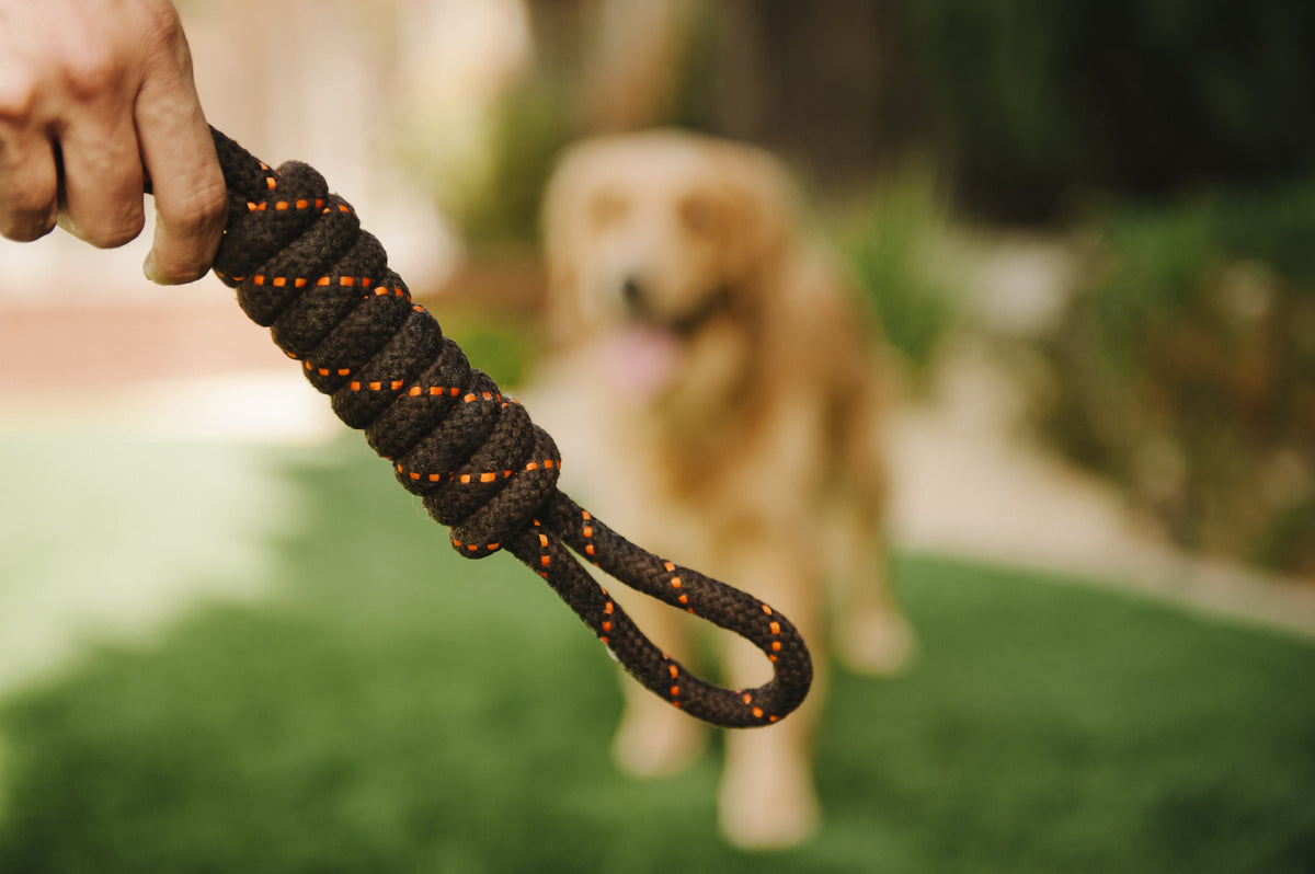 nteractive Dog Ball Toys with Chew Rope, Dog Chew Balls Exercise Toy Outdoor Dog Tug of War Toys