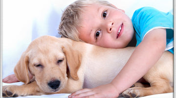 Why Pets Give Kids More Than Just Great Memories