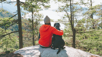 How To Hike With An Anxious Dog
