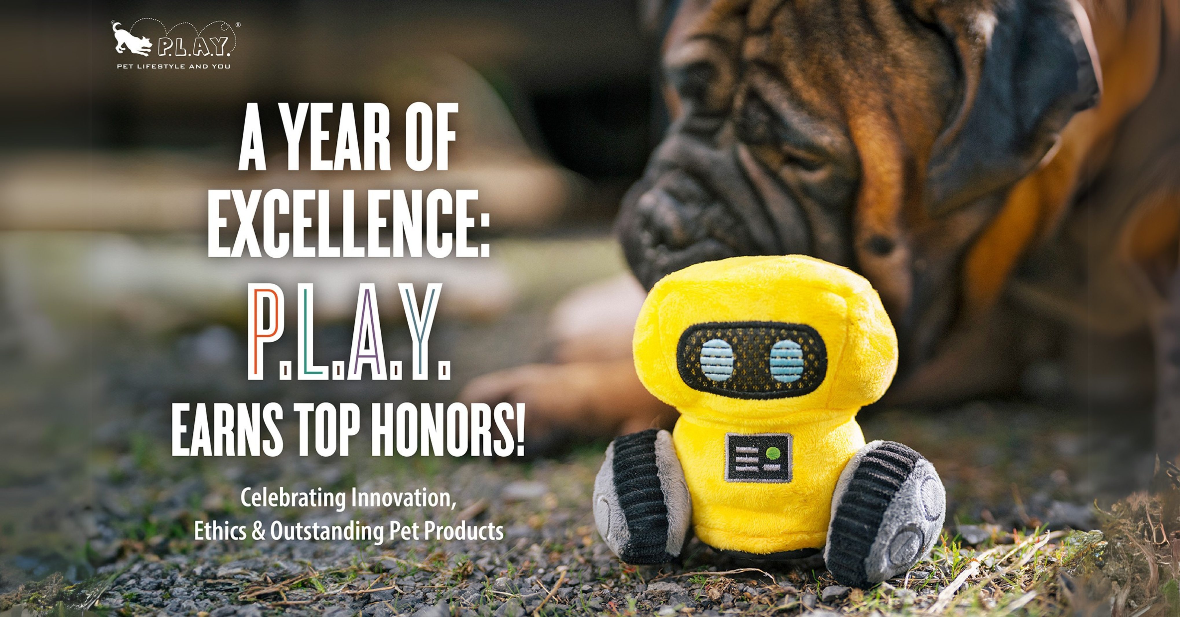 P.L.A.Y. Honored With the 2024 BBB Torch Award for Ethics & More!