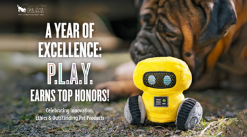 P.L.A.Y. Honored With the 2024 BBB Torch Award for Ethics & More!