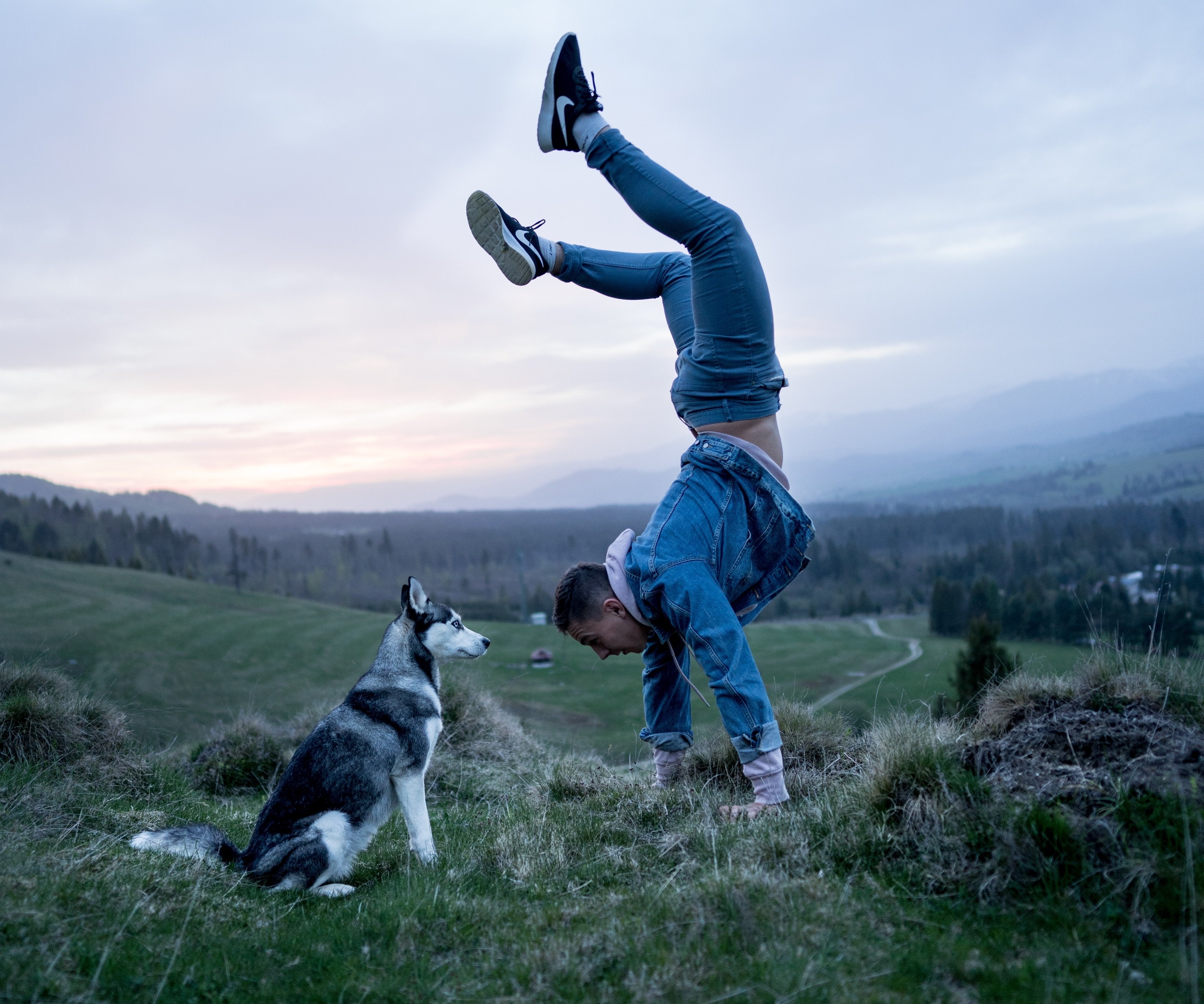 5 reasons why your dog makes the perfect workout partner - HomeoPet