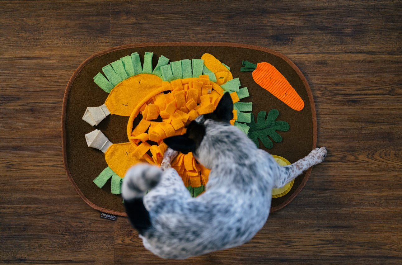 Must-Have Enrichment Pet Toys for a Stress-Free Holiday Season