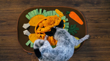 Must-Have Enrichment Pet Toys for a Stress-Free Holiday Season