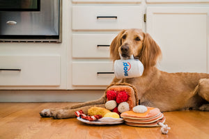 IHOP x P.L.A.Y. Breakfast Sampler Collab - all four toys shown on kitchen floor with brown dog holding coffee mug handle in its mouth