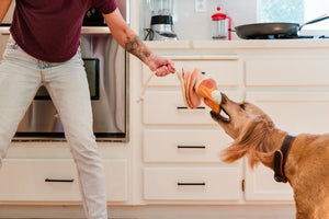 IHOP x P.L.A.Y. Pancake Pup Stack - brown dog playing tug with the pancakes with its human in kitchen