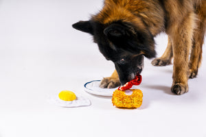 IHOP x P.L.A.Y. Eggcellent Play Platter - big fluffy brown dog pulling the bacon off the plate with the hashbrown and egg on the floor bedside its paws