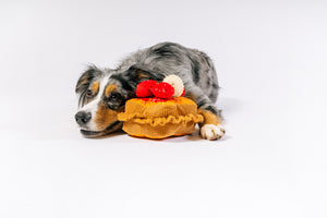 IHOP x P.L.A.Y. Thick 'N Fluffy French Toast - fluffy multi-colored dog posing with toy showing a side view on floor with smile on its face