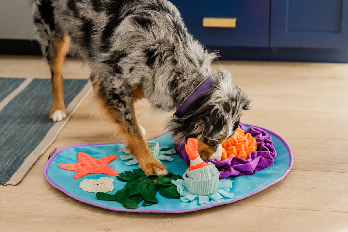 Coral Cove Snuffle Mat with Interactive Toys from P.L.A.Y.