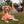 Load image into Gallery viewer, Camp Corbin Collection by P.L.A.Y. Gimme S&#39;more Toy - brown dog with toy on paws along with campfire toy at a campsite
