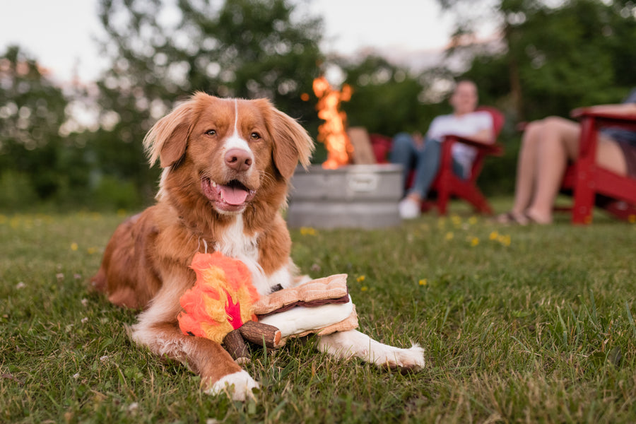 Camp Corbin Collection by P.L.A.Y. Gimme S'more Toy - brown dog with toy on paws along with campfire toy at a campsite