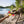 Load image into Gallery viewer, P.L.A.Y. Camp Corbin K9 Kayak Toy in dog&#39;s mouth playing tug with human shore with lake to the left
