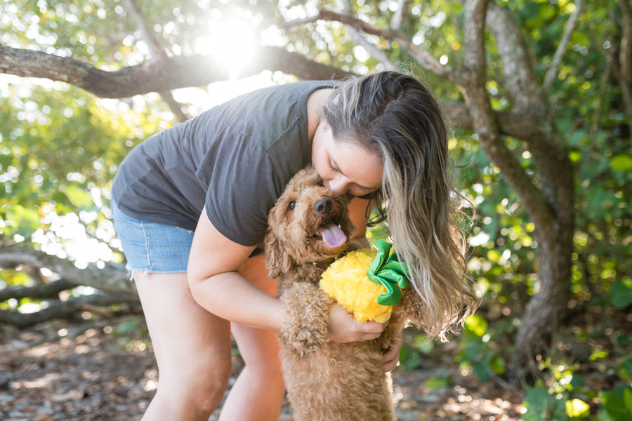 P.L.A.Y. Tropical Paradise Collection - Paws Up Pineapple Toy in dog's front paws being held up and kissed by dog mom in a tropical beach forest