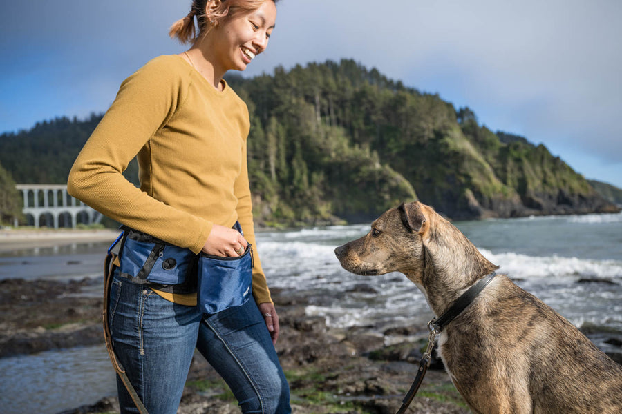 P.L.A.Y.'s Explorer Pack in Waterfall Blue on a dog mom giving her dog a treat out of the treat pouch on beach with dog staring intently