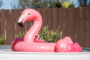 P.L.A.Y. Tropical Paradise Collection - Flamingo Float Toy on top of a flamingo float in a barkyard pool