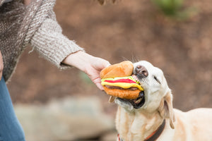 P.L.A.Y. American Classic Barky Burger Toy - in dog's mouth being chomped on with dog mom holding on to other side