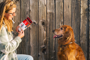 Cabot Creamery x P.L.A.Y. Seriously Sharp Squeaker with dog mom croching down to hand the toy to her Golden Retreiver brown dog in front of a wooden gate, while both look into each other's eyes