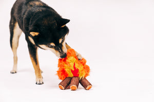 P.L.A.Y. Camp Corbin Cozy Campfire Toy - small dog pictured behind the toy with paw and nose in the fire fabric