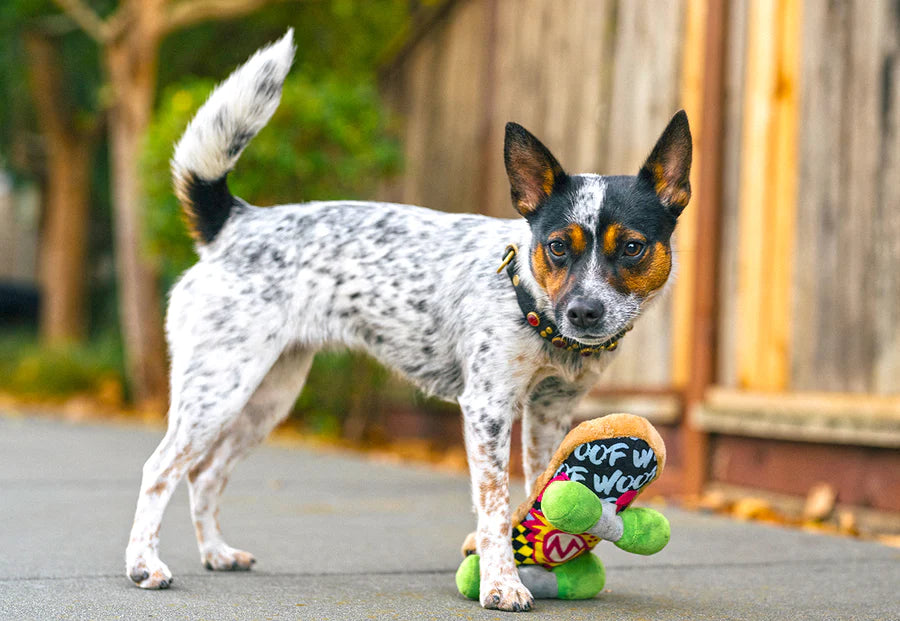 Kickflippin' K9: 90s Dog Toy by P.L.A.Y.