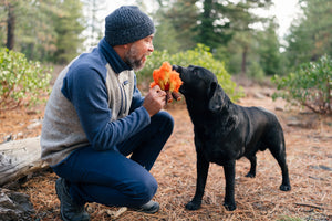 P.L.A.Y. Camp Corbin Cozy Campfire - man crouching down to give toy to black lab in the middle of a forest