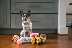 P.L.A.Y. Mini Pup Cup Cafe Collection - small dog looking into camera with all five toys at its feet in front of kitchen cabinet