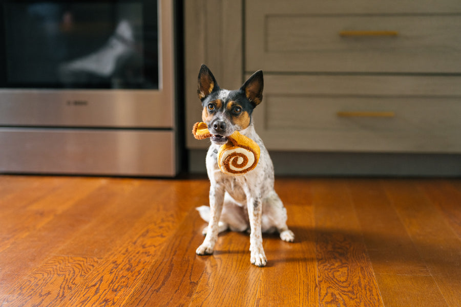 Small dog with mini Cinna-bone toy hanging out of mouth from Pup Cup Cafe Collection by P.L.A.Y.