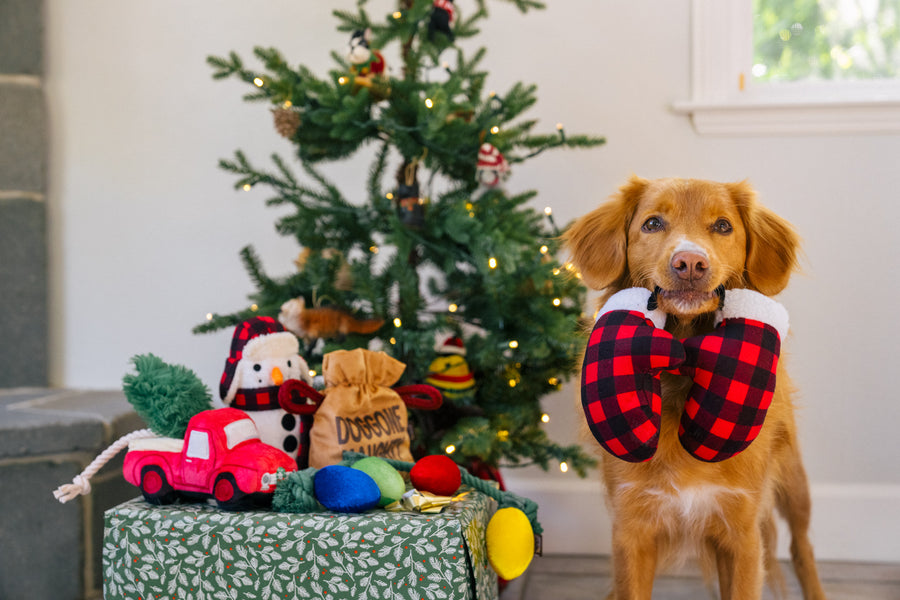 P.L.A.Y. Home for the Holidays Collection - brown fluffy dog holding the mittens in its mouth in front of Christmas Tree with other toys on top of a wrapped present