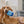 Load image into Gallery viewer, Paw-nukkah Collection Doggy Dreidel Toy - handle of toy in the mouth of brown down so it&#39;s hanging out of its mouth while laying down giving the camera a serious look
