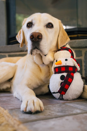 P.L.A.Y. Home for the Holidays Blizzard Buddy Toy - leaning against the chest of a yellow lab lying on the floor in front of a fireplace staring into you