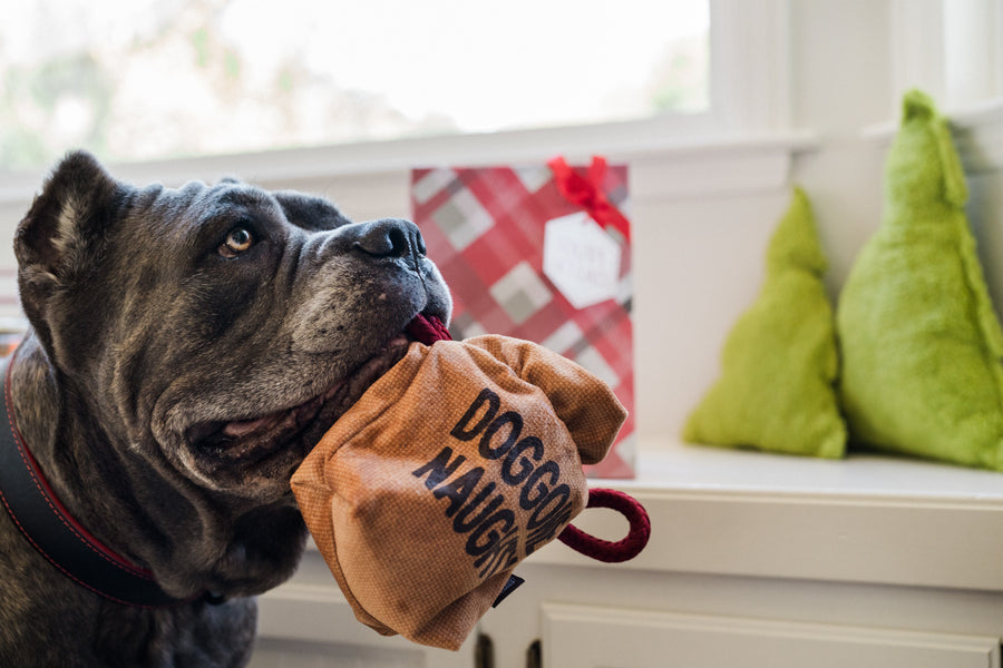 P.L.A.Y. Home for the Holidays Collection Fur-Ever Naughty - big black dog holding one side of the bag of coal in his mouth looking to the side standing in front of a bench with a gift bag in the background and Christmas Tree green pillows