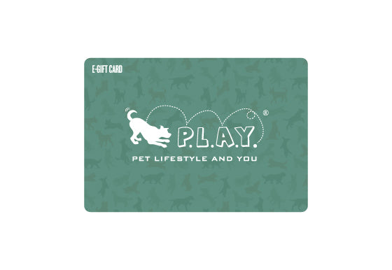 White Gift Vouchers And Gift Cards, Size: 85.60 mm X 53.98 mm at Rs  200/piece in New Delhi