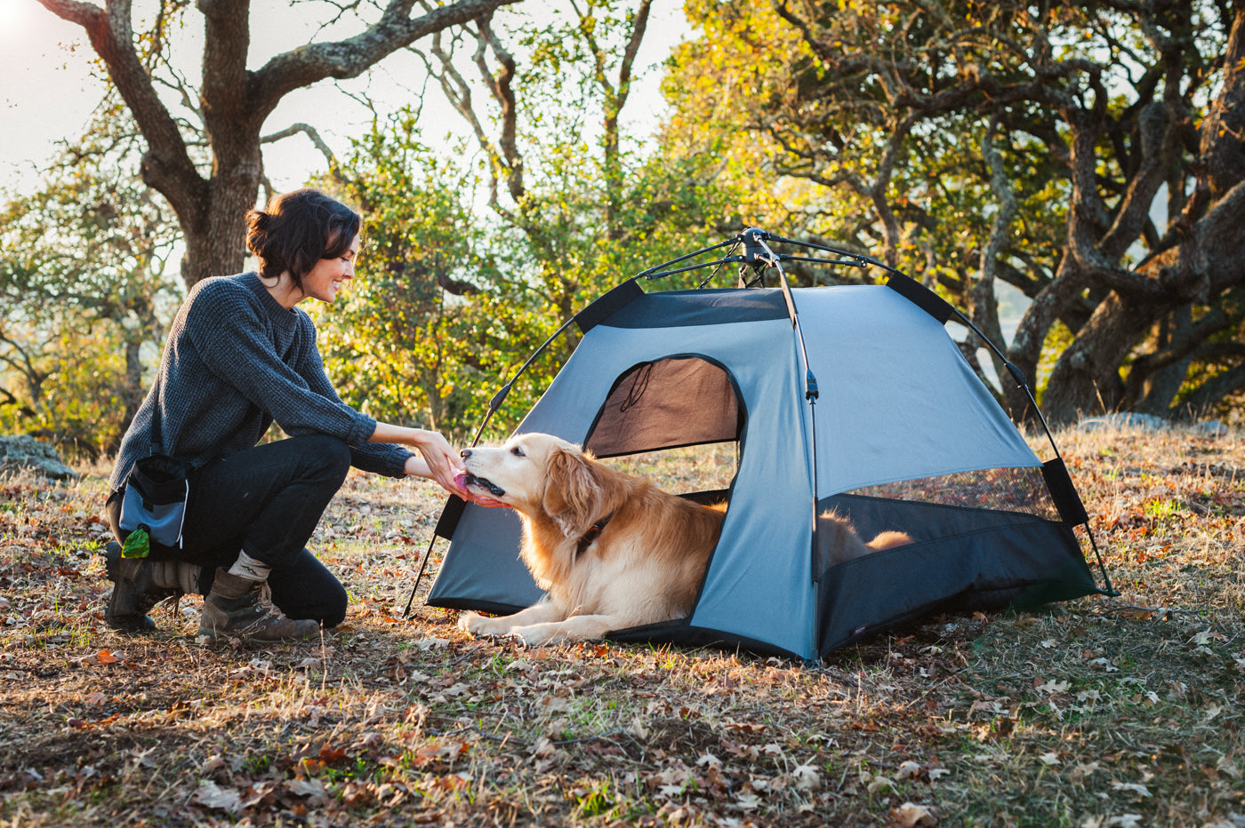 Outdoor Dog House: The Scout & About Pet Tent from P.L.A.Y.