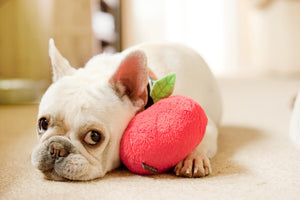 Fruit/Vegetables Plush Dog Toy – Comfy Morning