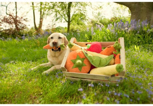 Vegetable Garden Dog Toy – Nandog Pet Gear™