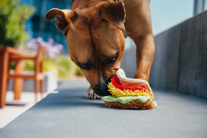 https://www.petplay.com/cdn/shop/products/international_classic_tail_wagging_taco_by_p.l.a.y._close_up_300x.jpg?v=1599754107