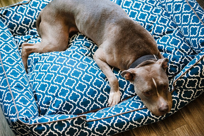 P.L.A.Y. Moroccan Lounge Dog Bed – Organic Pet Boutique