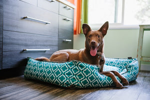 P.L.A.Y. Moroccan Lounge Dog Bed – Organic Pet Boutique